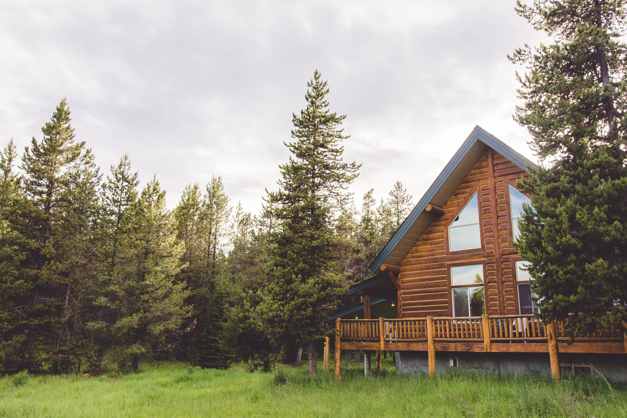 Home tucked back in the woods before a home inspection